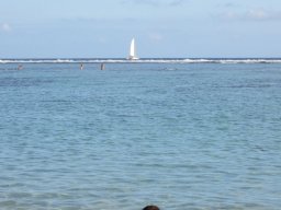 Les baleines à la Réunion 21/07/2012