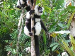Escapade à Madagascar