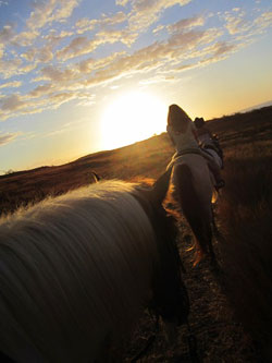 Balade à cheval à la Réunion