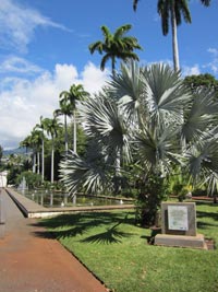 Jardin d'Etat à Saint-Denis