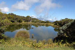 Randonnée du Piton de l'eau