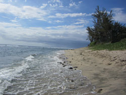 Plage des Roches Noires à Saint-Gilles les bains