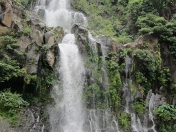 Bassin du Cormoran 25/02/2012