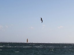 Kitesurf à La Saline