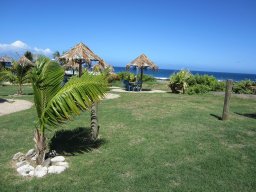 Marché de Saint-Pierre
