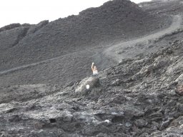 Volcan - Cratère Dolomieu