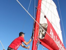 Sortie avec les Dauphins 02/06/2012