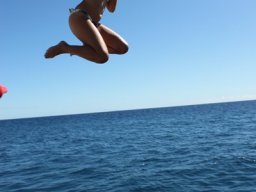 Sortie avec les Dauphins