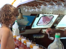 Sortie avec les Dauphins