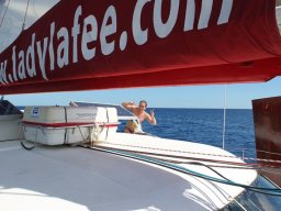 Sortie avec les Dauphins