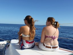 Sortie avec les Dauphins