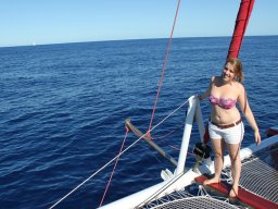 Sortie avec les Dauphins