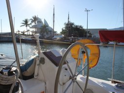 Sortie avec les Dauphins