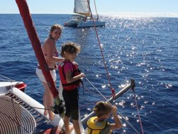 Sortie avec les Dauphins