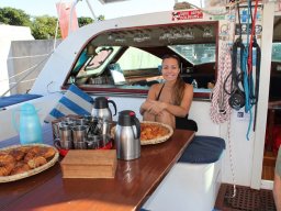 Sortie avec les Dauphins