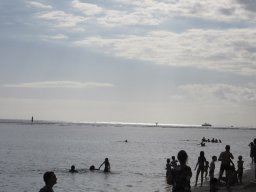 Les baleines à la Réunion