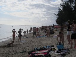 Les baleines à la Réunion