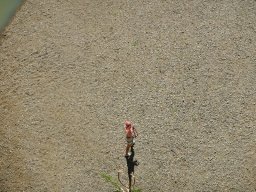 Via ferrata cascade Niagara