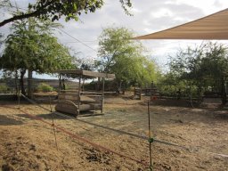 Dans la peau d'un cowboy