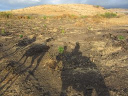 Dans la peau d'un cowboy