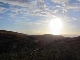 Dans la peau d'un cowboy