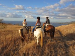 Dans la peau d'un cowboy