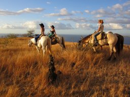 Dans la peau d'un cowboy