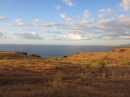 Dans la peau d'un cowboy