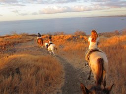 Dans la peau d'un cowboy