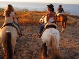 Dans la peau d'un cowboy