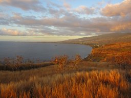 Dans la peau d'un cowboy