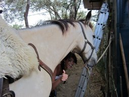 Dans la peau d'un cowboy