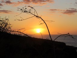 Dans la peau d'un cowboy