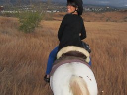 Dans la peau d'un cowboy