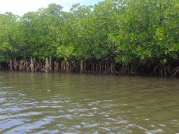 Escapade à Madagascar