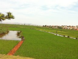 Escapade à Madagascar