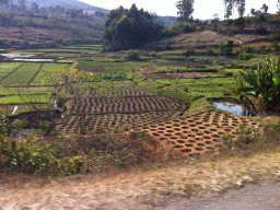 Escapade à Madagascar