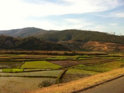 Escapade à Madagascar