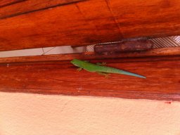 Escapade à Madagascar