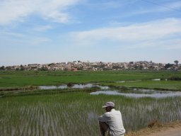 Escapade à Madagascar