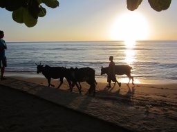 Escapade à Madagascar