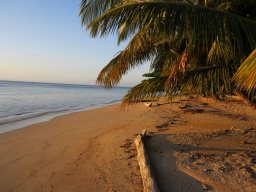 Escapade à Madagascar