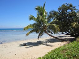 Escapade à Madagascar