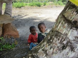 Escapade à Madagascar