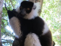 Escapade à Madagascar