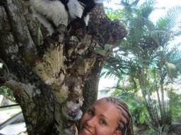 Escapade à Madagascar