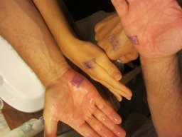 Escapade à Madagascar