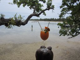 Escapade à Madagascar