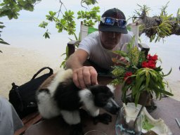 Escapade à Madagascar