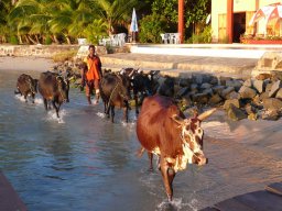 Escapade à Madagascar